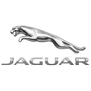 jaguar-min